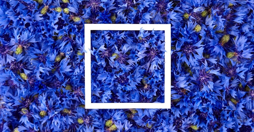 Creative Frames: Transforming 
