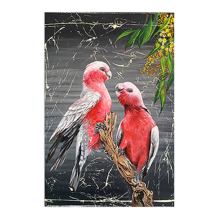 Chatty Galahs by Louisa-Jane