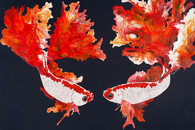 Betta Pair on Navy by Carol Perry