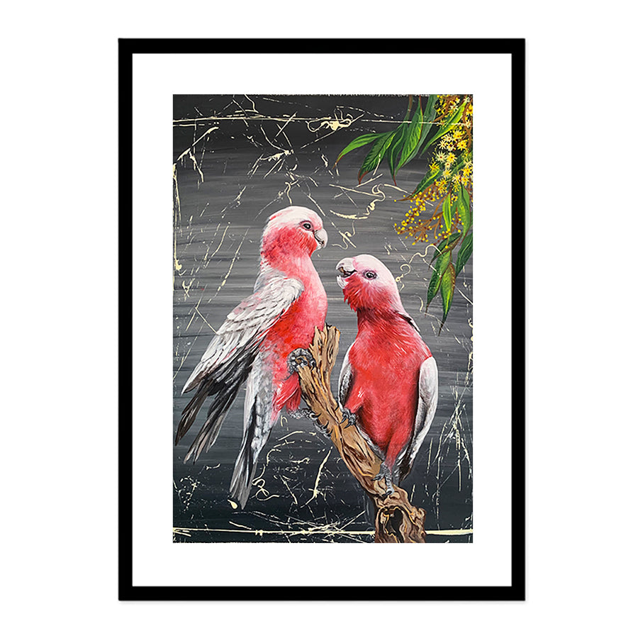 Chatty Galahs by Louisa-Jane