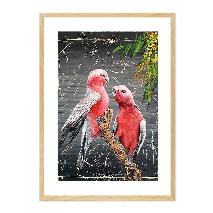 Chatty Galahs by Louisa-Jane