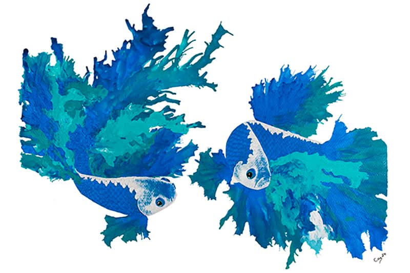 Blue Betta Pair by Carol Perry