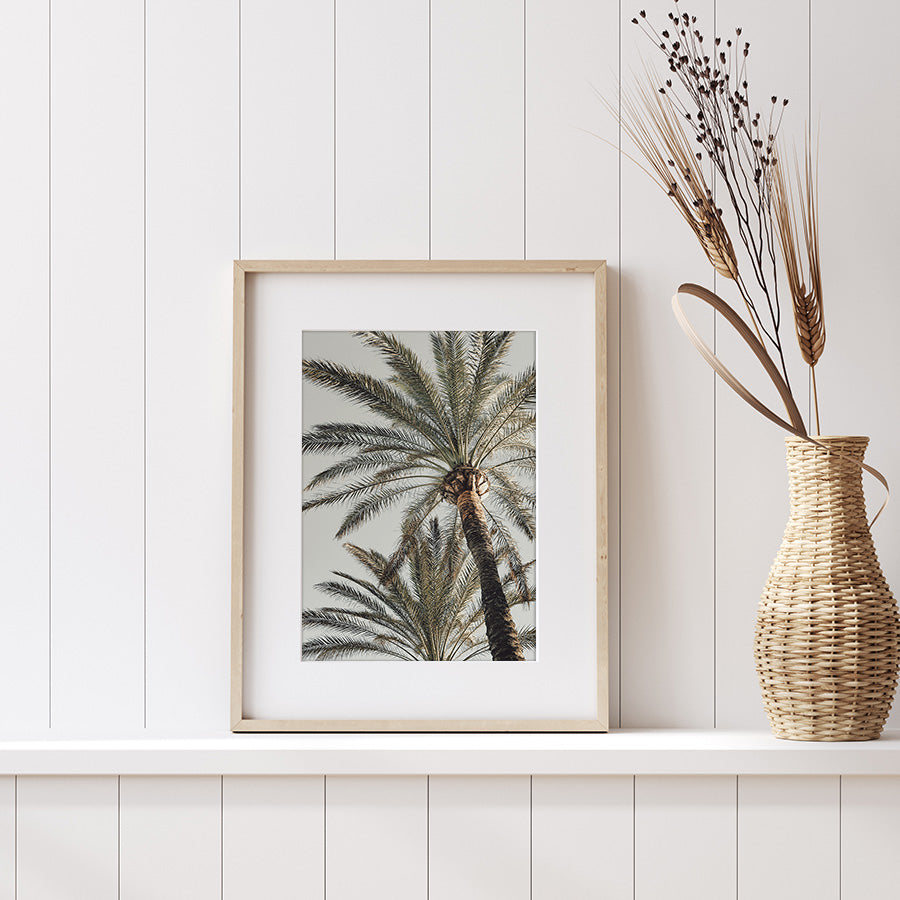 Palm 005 by Studio Scandi III