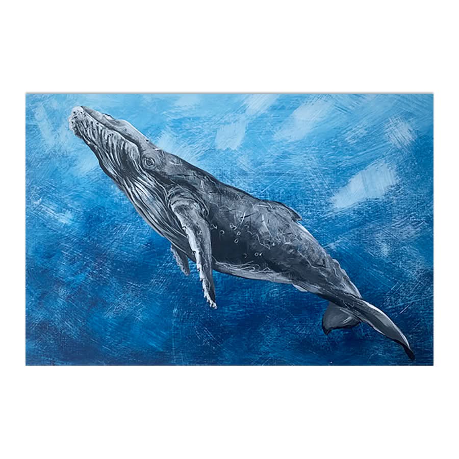 Graceful Humpback by Louisa-Jane
