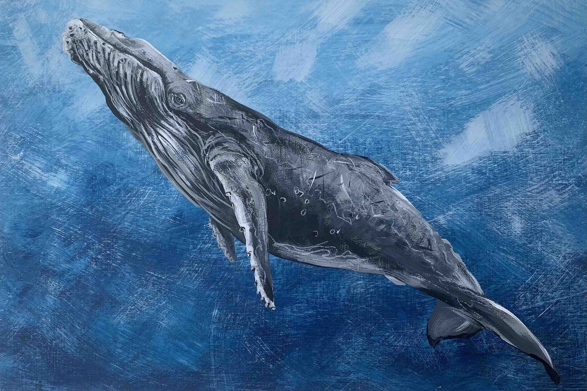 Graceful Humpback by Louisa-Jane