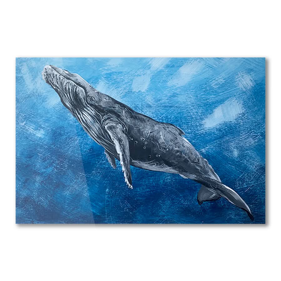 Graceful Humpback by Louisa-Jane