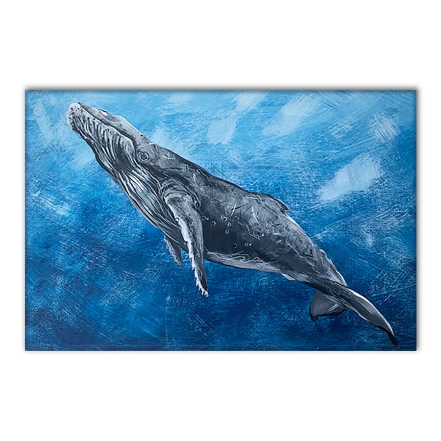Graceful Humpback by Louisa-Jane