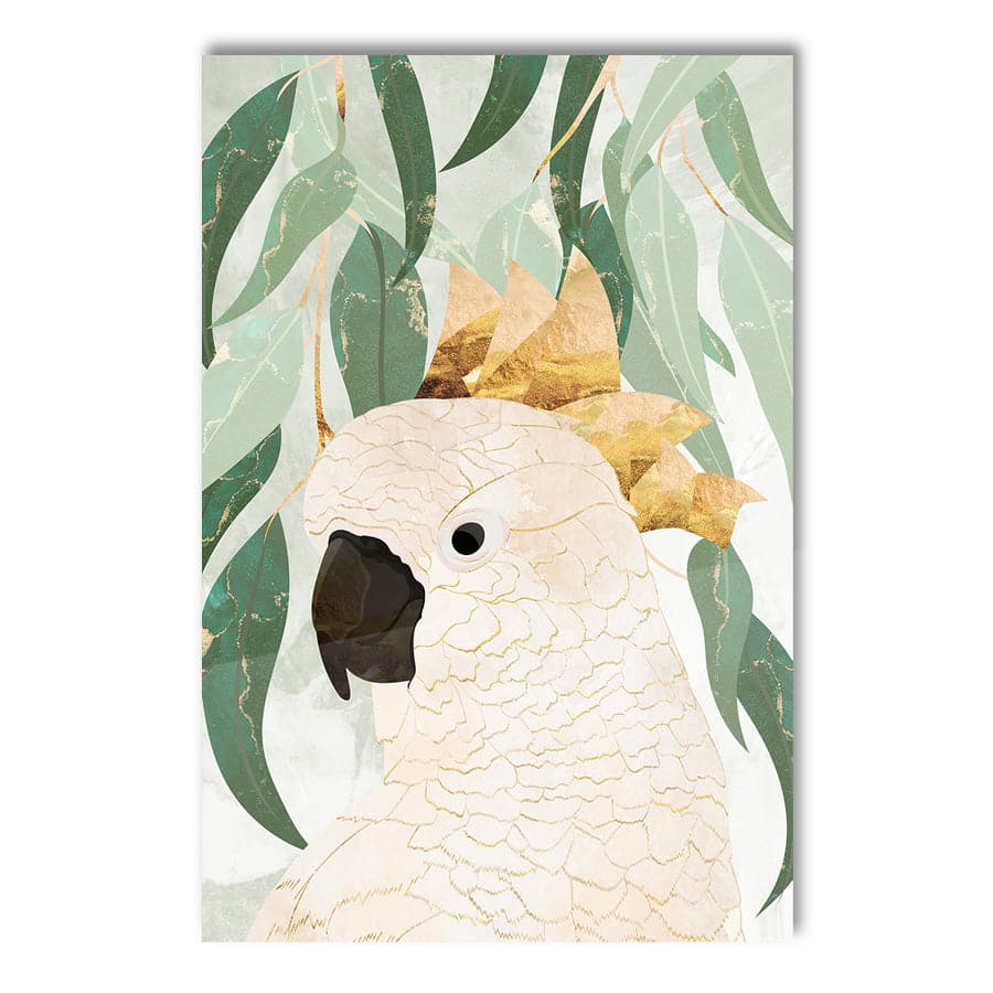 Cockatoo by Sarah Manovski