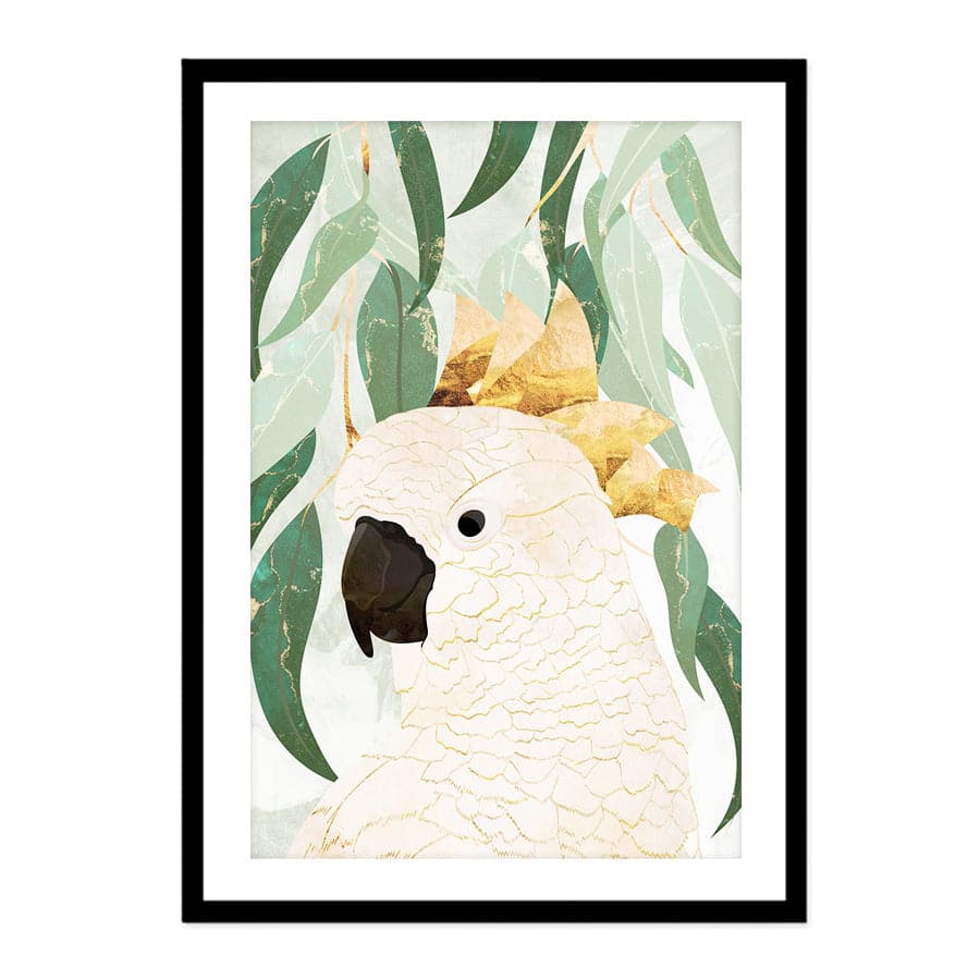 Cockatoo by Sarah Manovski