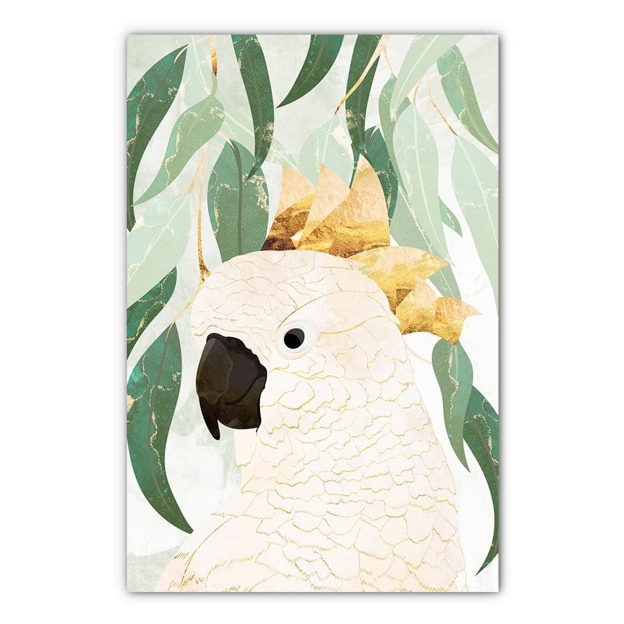 Cockatoo by Sarah Manovski