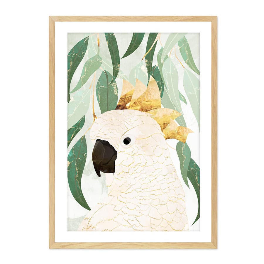 Cockatoo by Sarah Manovski
