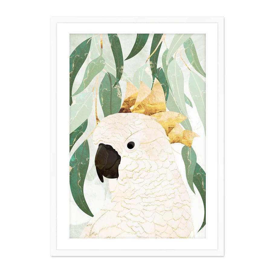 Cockatoo by Sarah Manovski