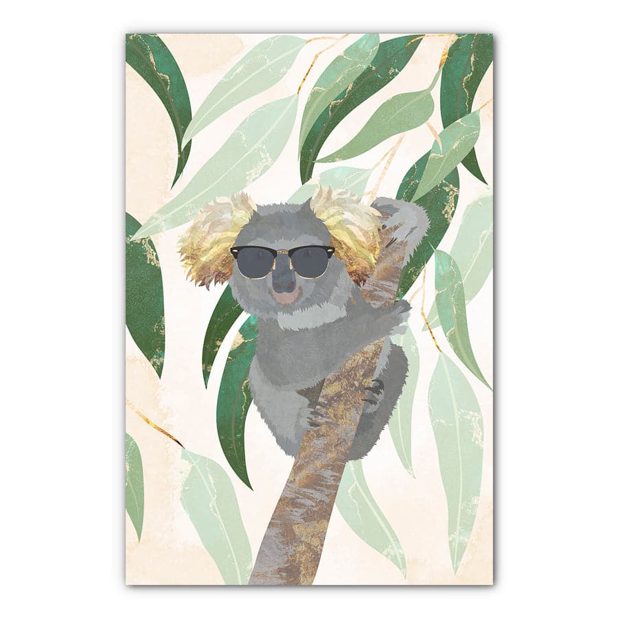 Cool Koala by Sarah Manovski
