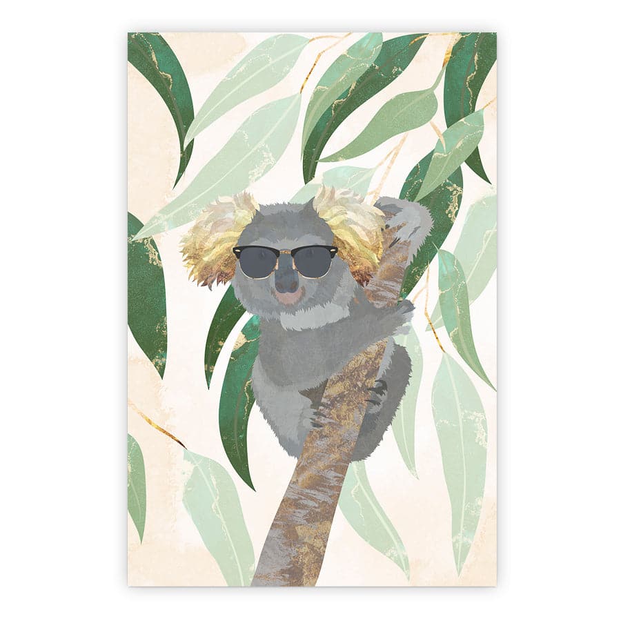 Cool Koala by Sarah Manovski