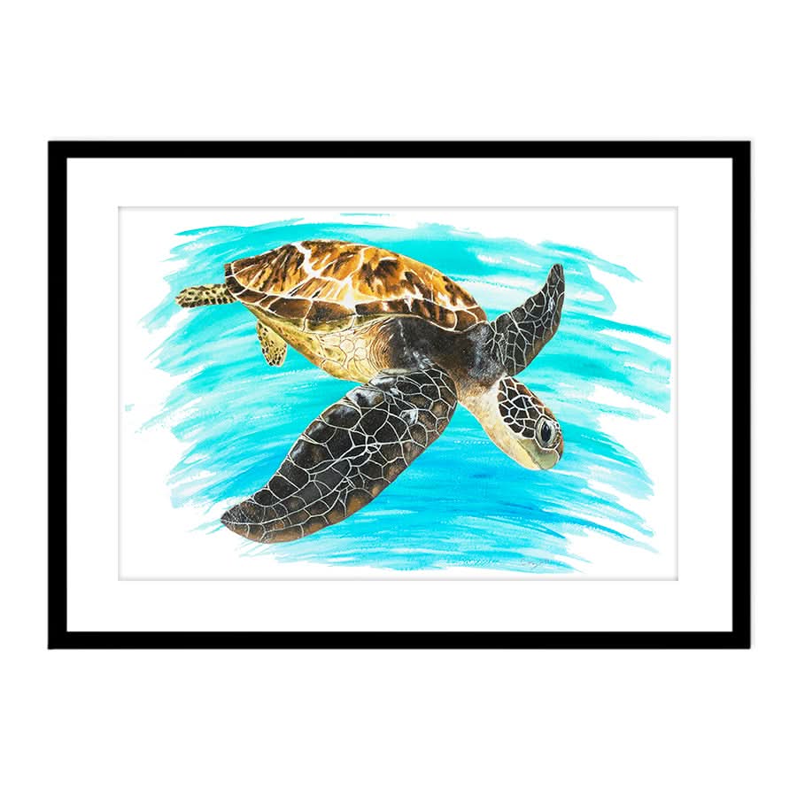 Turtle 1 by Carol Perry