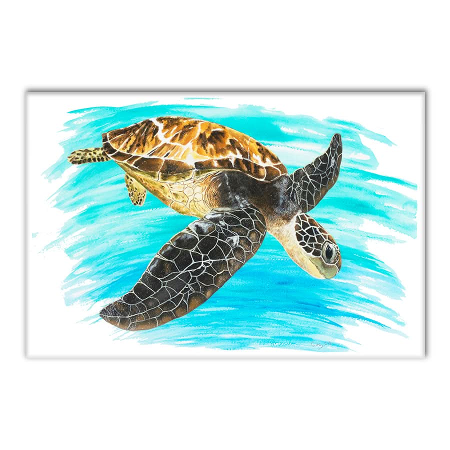 Turtle 1 by Carol Perry
