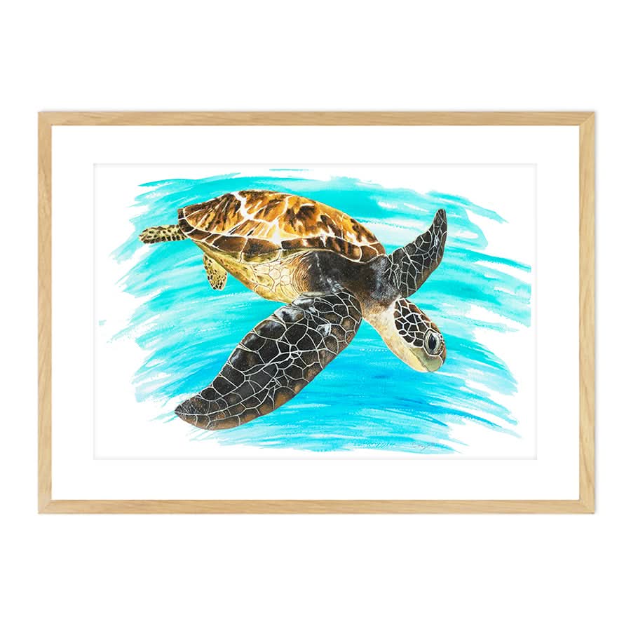 Turtle 1 by Carol Perry