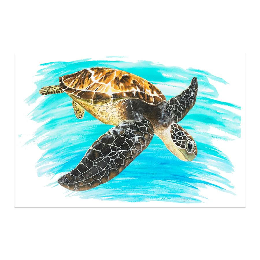 Turtle 1 by Carol Perry