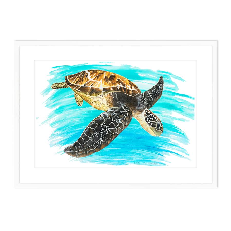 Turtle 1 by Carol Perry