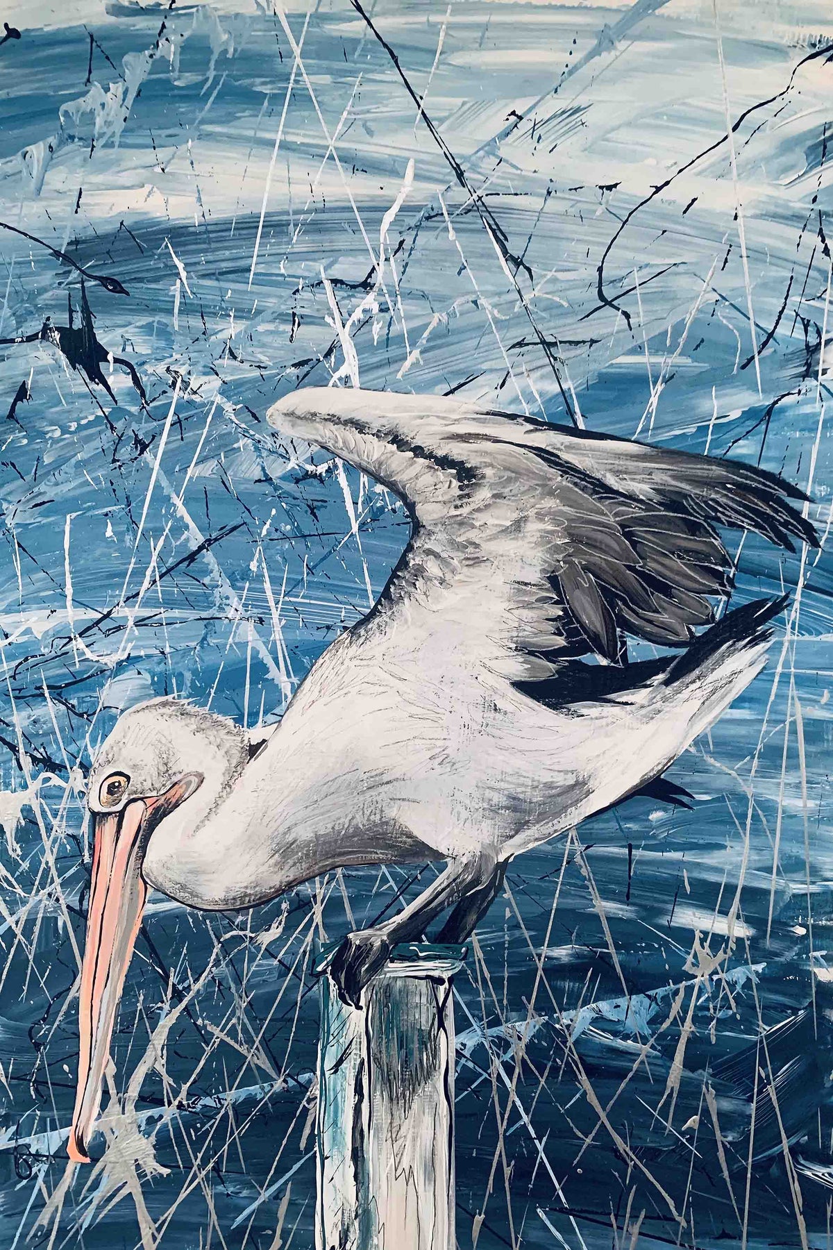 Pelican Waiting For Lunch by Louisa-Jane
