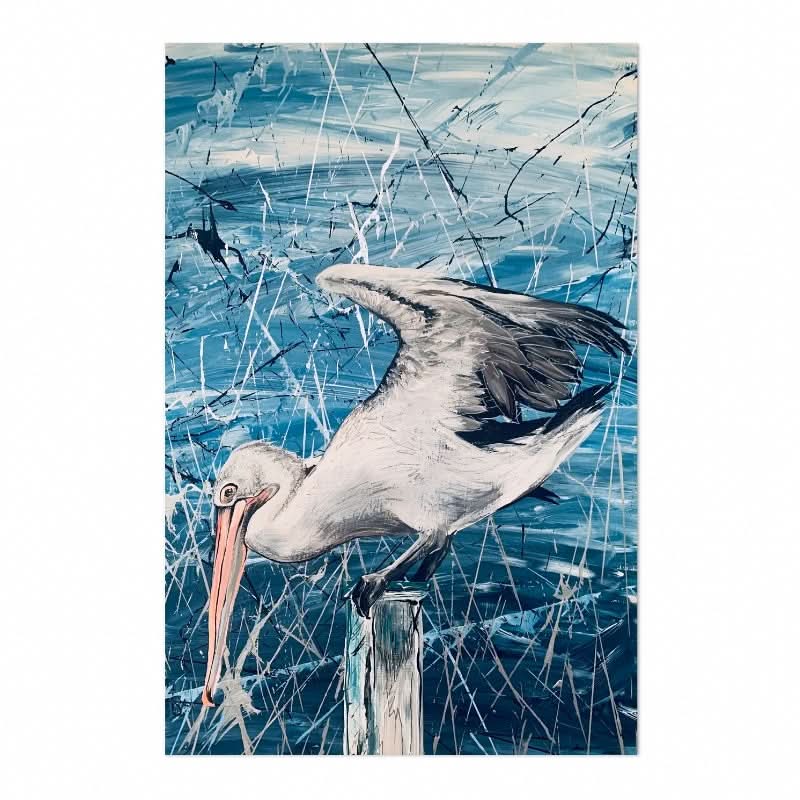 Pelican Waiting For Lunch by Louisa-Jane
