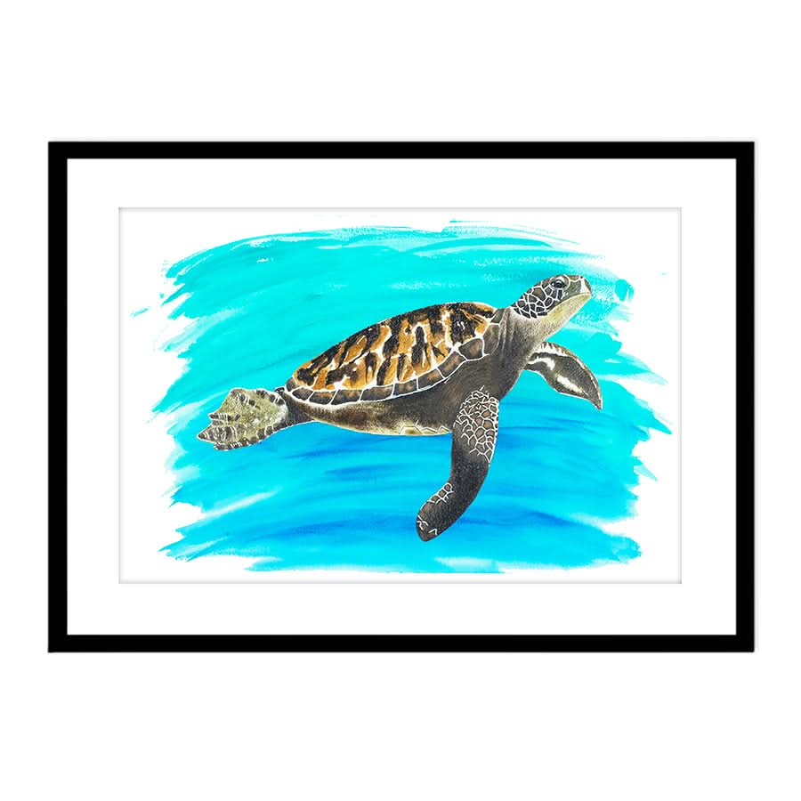 Turtle 2 by Carol Perry