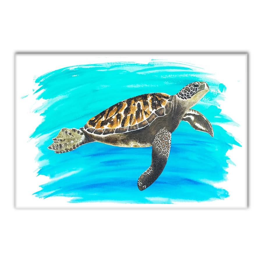 Turtle 2 by Carol Perry