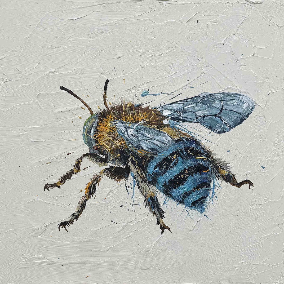 Blue-Banded Bee by Louisa-Jane