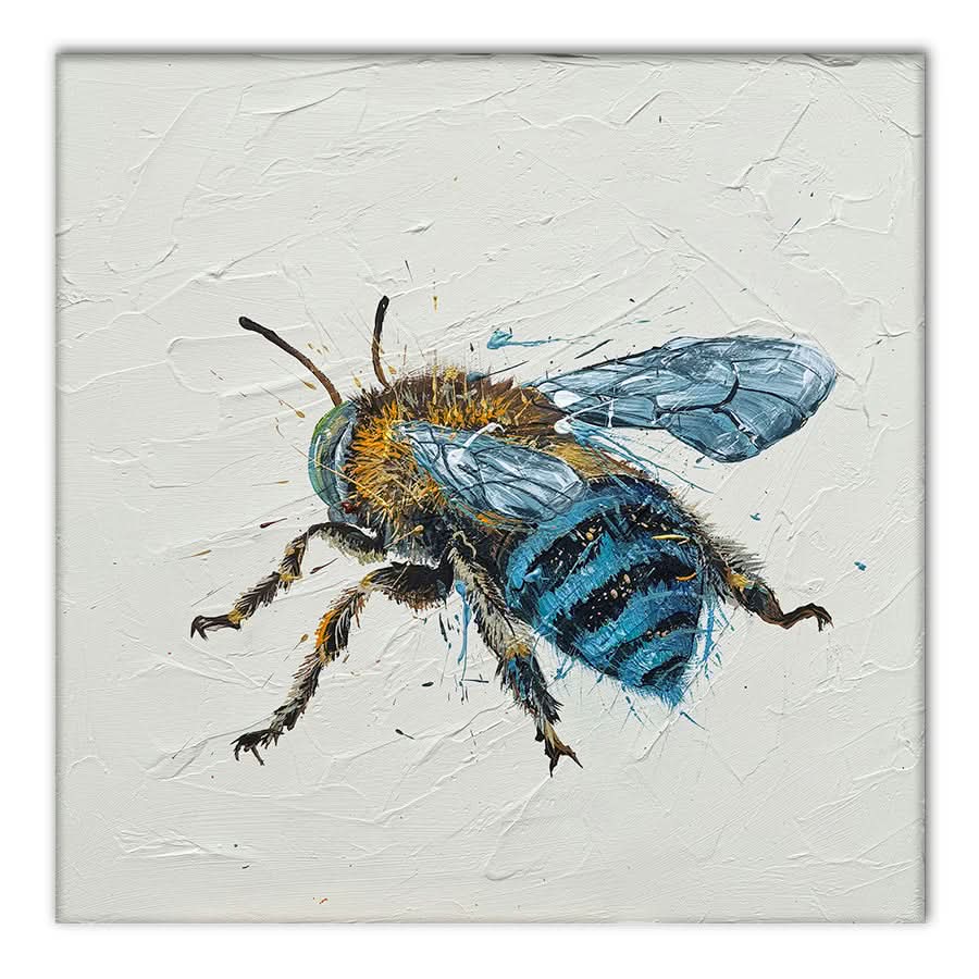 Blue-Banded Bee by Louisa-Jane