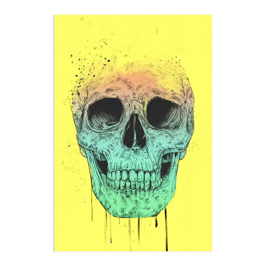 Pop Art Skull by Balazs Solti