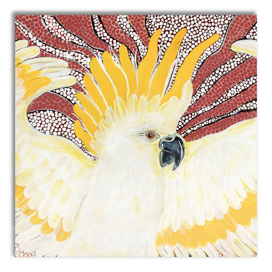 Sulpher Crested Cockatoo by Kay Pauli