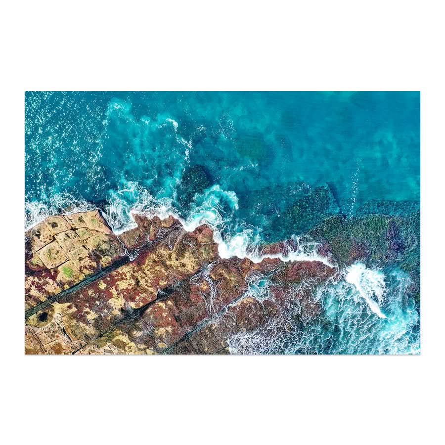 Art of the Ocean, Toowoon Bay by Beata Young