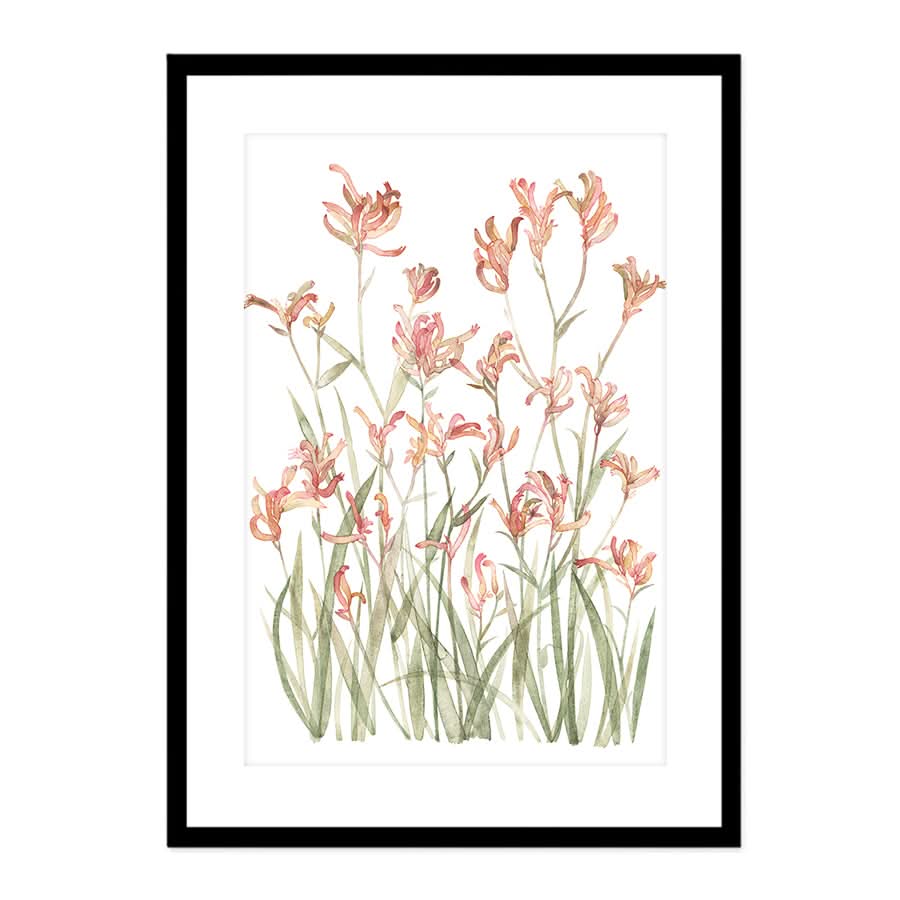 Kangaroo Paw Sunset by Natalie Ryan