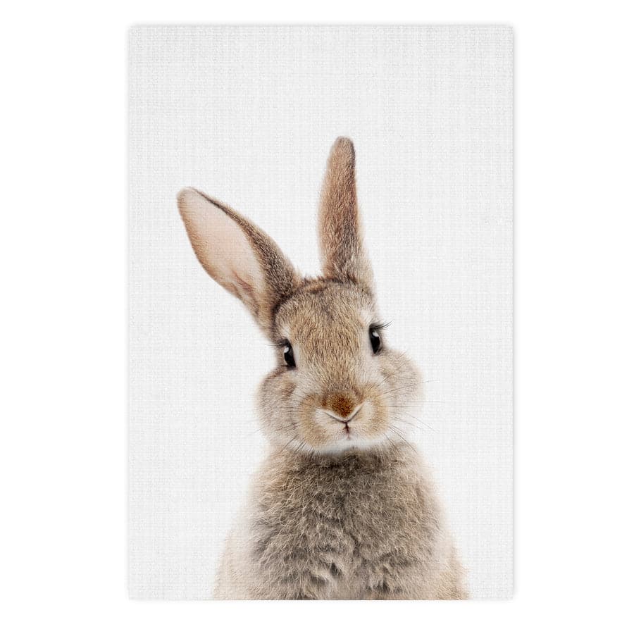 Peekaboo Bunny by Lola Peacock
