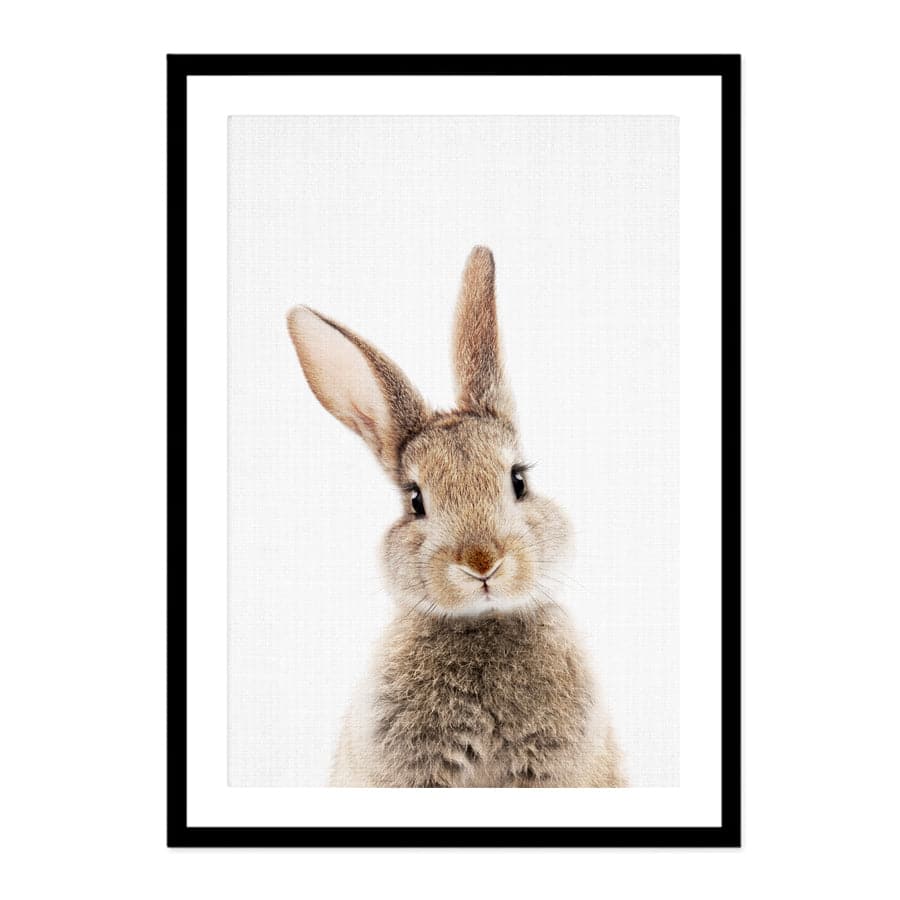Peekaboo Bunny by Lola Peacock