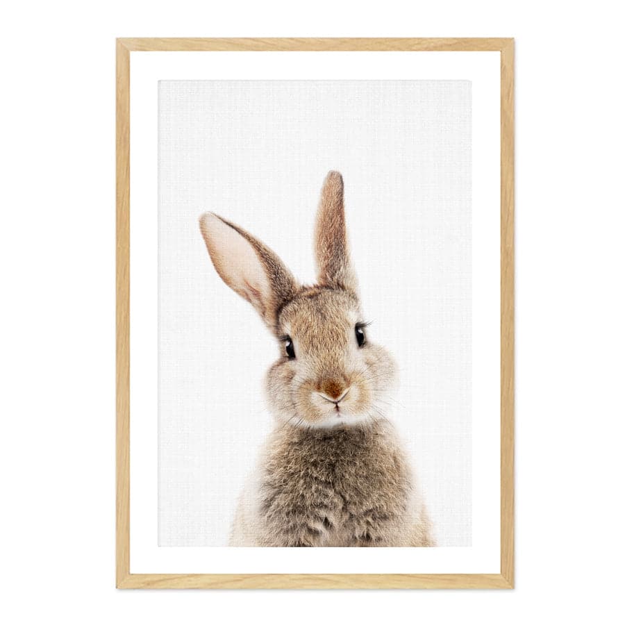 Peekaboo Bunny by Lola Peacock