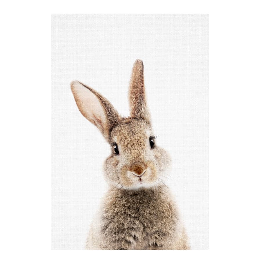 Peekaboo Bunny by Lola Peacock