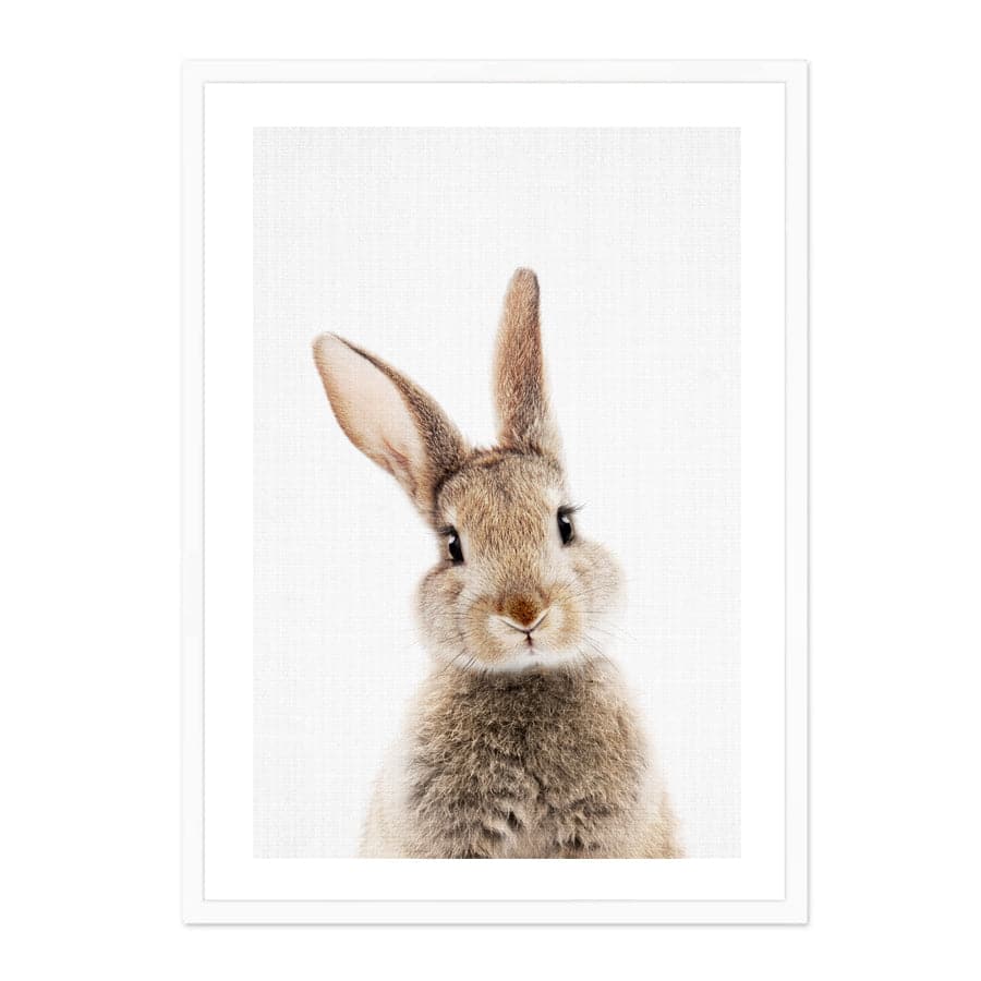 Peekaboo Bunny by Lola Peacock