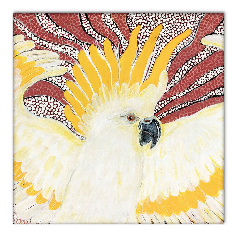 Sulpher Crested Cockatoo by Kay Pauli