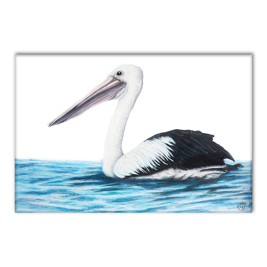 Pelican on Water by Mollie Lennon