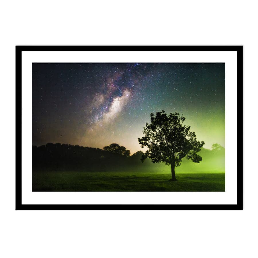 Clarity by David Magro