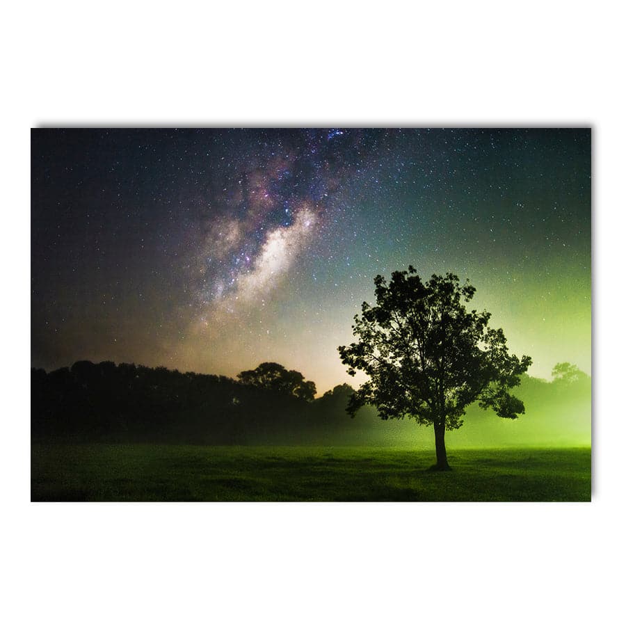 Clarity by David Magro