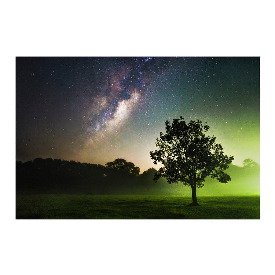 Clarity by David Magro