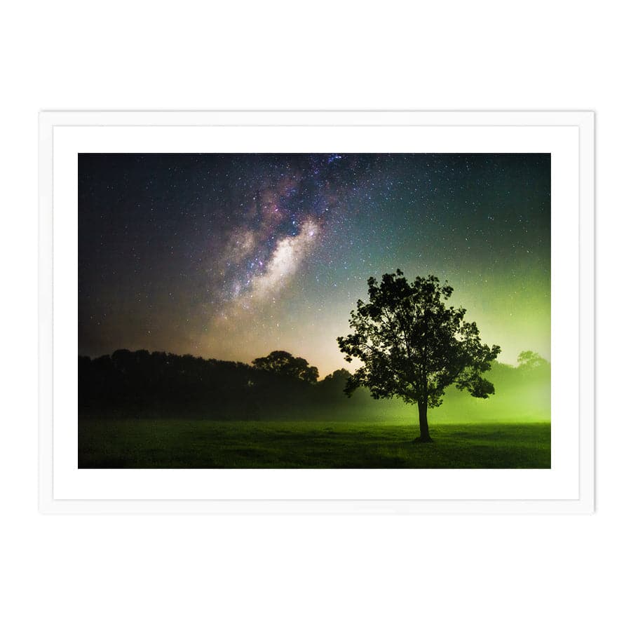 Clarity by David Magro