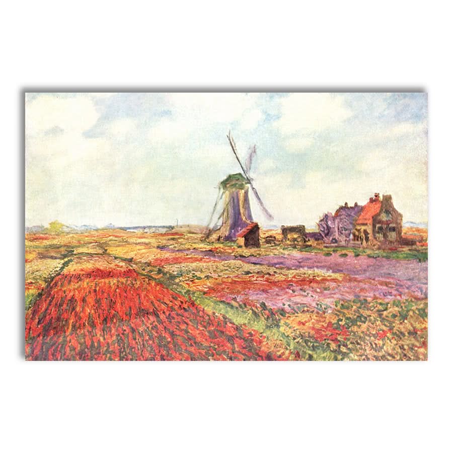 Tulip Fields in Hollands by Claude Monet