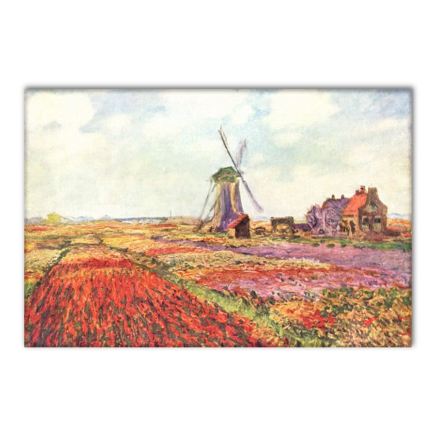 Tulip Fields in Hollands by Claude Monet