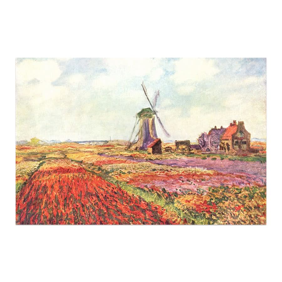 Tulip Fields in Hollands by Claude Monet
