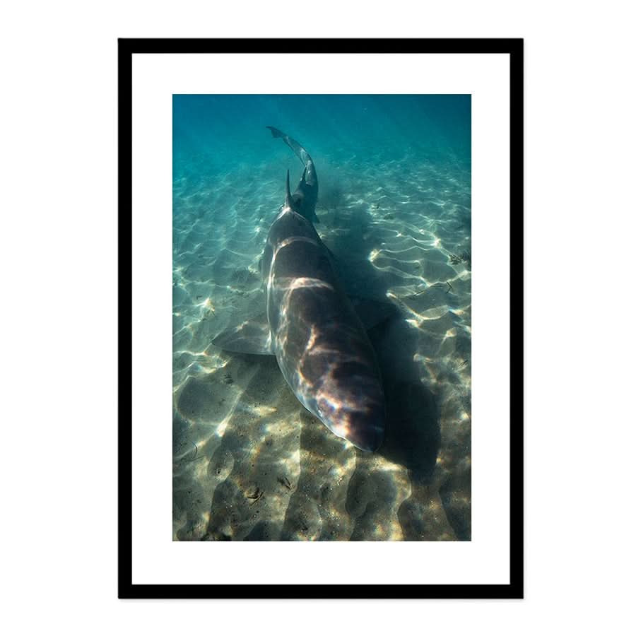 Close Encounter by Stuart McAndrew