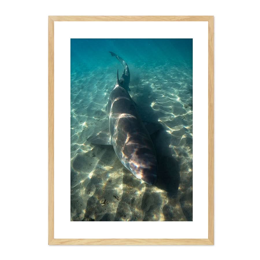Close Encounter by Stuart McAndrew