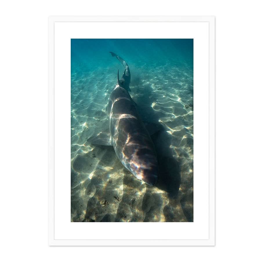 Close Encounter by Stuart McAndrew